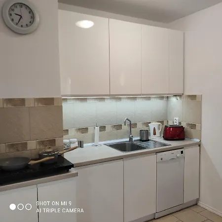 Apartament W Bursztynowych Komnatach Z Garazem Apartment